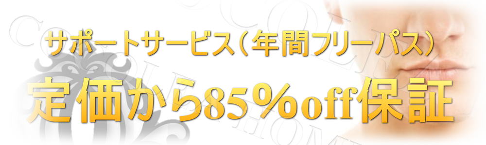 �P�H �E�� �L�����y�[��1