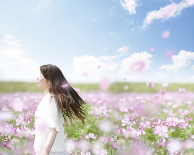 脱毛の効果はいつまで続く?